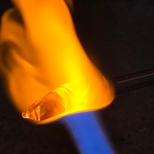 Photo submitted by marci