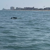 Photo submitted by Jennifer