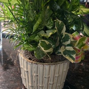 Photo submitted by Beth