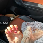 Photo submitted by Alysha