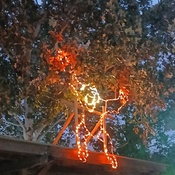 Photo submitted by Wisper