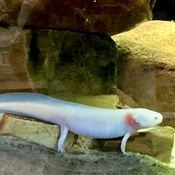 Photo submitted by C