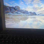 Photo submitted by Reese