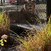 Photo submitted by Megan