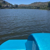 Photo submitted by jami