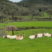 Photo submitted by Julie