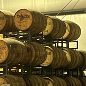 Photo submitted by Lorraine