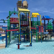 Photo submitted by Donetha