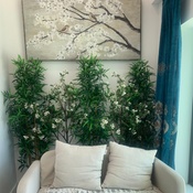 Photo submitted by Syan