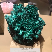 Photo submitted by Adriana