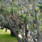 Photo submitted by Rui