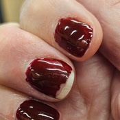 Photo submitted by Allison