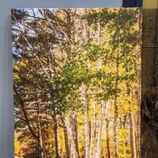 Photo submitted by Diana