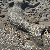 Photo submitted by Faith