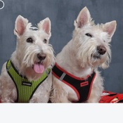 Photo submitted by Jennifer