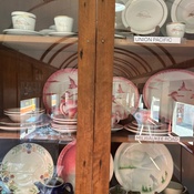 Photo submitted by Shelley