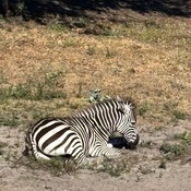 Photo submitted by Guest