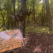 Photo submitted by Tomminesha