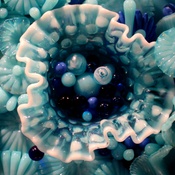 Photo submitted by Karen