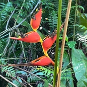 Photo submitted by Cathrine