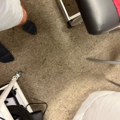 Photo submitted by Clifford