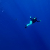 Photo submitted by Amy