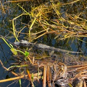 Photo submitted by Lori