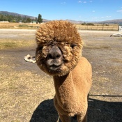 Photo submitted by Amy