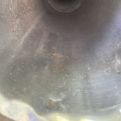 Photo submitted by Michael