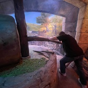 Photo submitted by Lisa