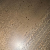 Photo submitted by Bibiana