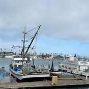 Photo submitted by Julia