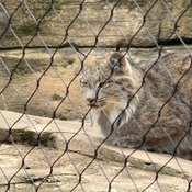 Photo submitted by Heather