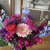 Photo submitted by Jan