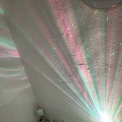 Photo submitted by Ines