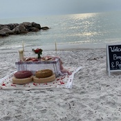 Photo submitted by Alisha