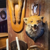 Photo submitted by Julia