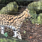 Photo submitted by Yasser