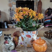 Photo submitted by Melissa