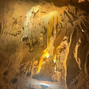 Photo submitted by Guest