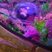 Photo submitted by Groupon