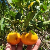 Photo submitted by Janette