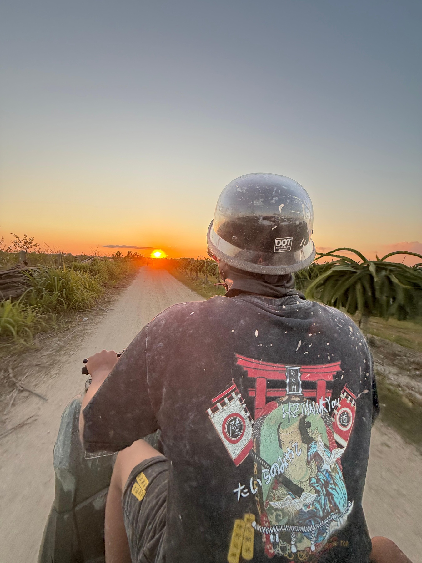 Off Road Rentals And Repairs Homestead, Florida - From $67.31 ...