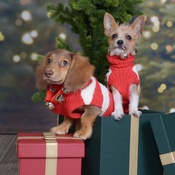 Photo submitted by Mellisa