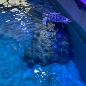 Photo submitted by Manuel