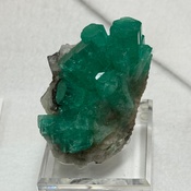 Photo submitted by Guest