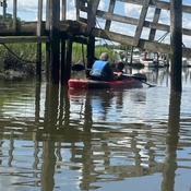 Photo submitted by D