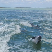 Photo submitted by Leslie