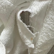 Photo submitted by Heather