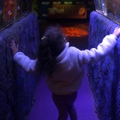 Photo submitted by Guest